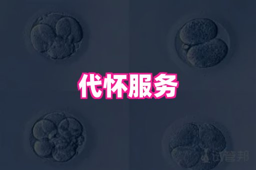 试管助孕网站 3