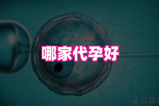 试管助孕网站 4